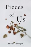 Pieces Of Us