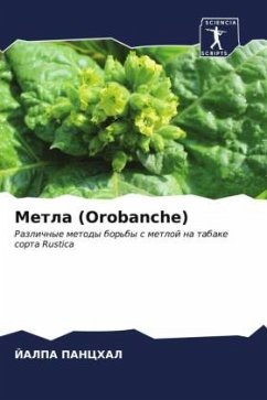 Metla (Orobanche) - PANCHAL, JALPA