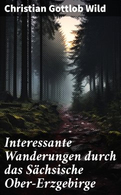 Interessante Wanderungen durch das Sächsische Ober-Erzgebirge (eBook, ePUB) - Wild, Christian Gottlob