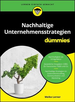 Nachhaltige Unternehmensstrategien für Dummies - Lerner, Meike