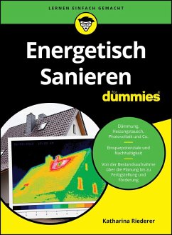 Energetisch Sanieren für Dummies - Riederer, Katharina