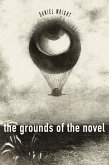 The Grounds of the Novel (eBook, ePUB)