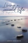 Living a Second Life: A Sober Life (eBook, ePUB)