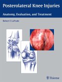 Posterolateral Knee Injuries (eBook, ePUB)