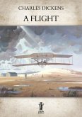 A Flight (eBook, ePUB)