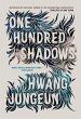 One Hundred Shadows (eBook, ePUB) - Bild 1