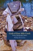 Gods of Four Mile Creek (eBook, ePUB)