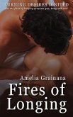Fires of Longing - Burning Desires Ignited (eBook, ePUB) Fires of Longing - Burning Desires Ignited (eBook, ePUB)