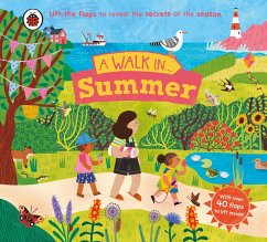 A Walk in Summer - Ladybird