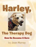 Harley, the Therapy Dog