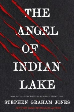 The Angel of Indian Lake - Graham Jones, Stephen