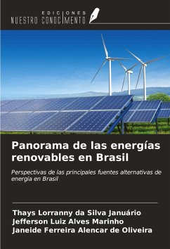 Cover Panorama de las energías renovables en Brasil
