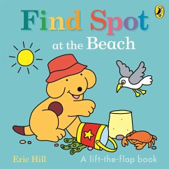 Find Spot at the Beach - Hill, Eric