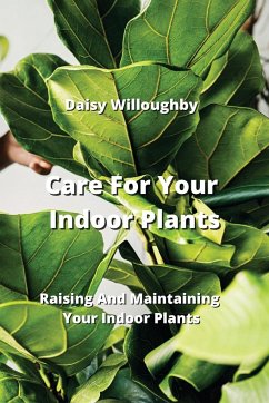 Care For Your Indoor Plants - Willoughby, Daisy