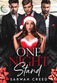 One Night Stand: An Age Gap Romance (Winter Wonderlands) (eBook, ePUB)