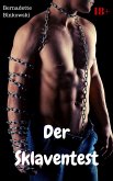 Der Sklaventest (eBook, ePUB)