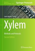 Xylem (eBook, PDF)