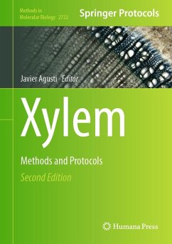 Xylem (eBook, PDF)
