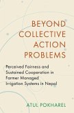 Beyond Collective Action Problems