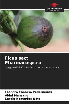 Ficus sect. Pharmacosycea - Cardoso Pederneiras, Leandro;Mansano, Vidal;Romaniuc-Neto, Sergio