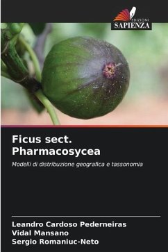 Ficus sect. Pharmacosycea - Cardoso Pederneiras, Leandro;Mansano, Vidal;Romaniuc-Neto, Sergio