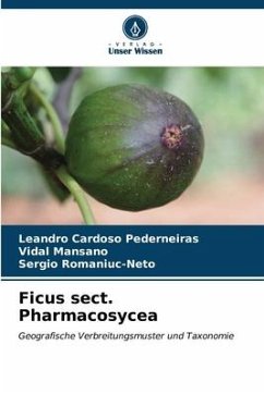 Ficus sect. Pharmacosycea - Cardoso Pederneiras, Leandro;Mansano, Vidal;Romaniuc-Neto, Sergio