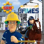 Folgen 151-154: Hilfspolizist James (MP3-Download)