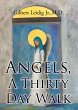 Angels, A Thirty Day Walk (eBook, ePUB) - Bild 1