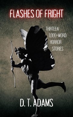 Cover Flashes of Fright (eBook, ePUB)