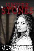 Under the Stones (eBook, ePUB)