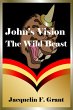 John's Vision: The Wild Beast (eBook,... - Bild 1