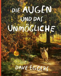 Die Augen und das Unmögliche - Eggers, Dave