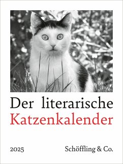 Der literarische Katzenkalender 2025 - Bachstein, Julia