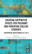 Creating Supportive Spaces for Pregnant... - Bild 1