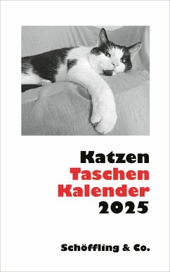 Katzen Taschenkalender 2025 - Bachstein, Julia