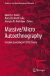 Massive/Micro Autoethnography - Bild 1