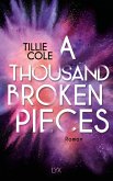 A Thousand Broken Pieces / Blossom Grove Bd.2