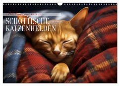Schottische Katzenhelden (Wandkalender 2024 DIN A3 quer), CALVENDO Monatskalender