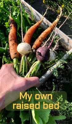 My Own Raised Bed (eBook, ePUB) - Herbstreuth, Tobias