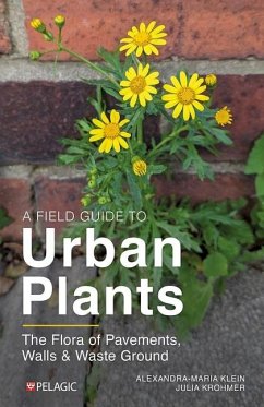 A Field Guide to Urban Plants - Klein, Alexandra-Maria; Krohmer, Julia