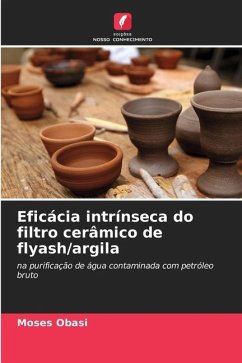 Eficácia intrínseca do filtro cerâmico de flyash/argila - Obasi, Moses