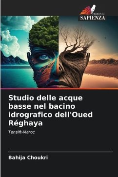 Studio delle acque basse nel bacino idrografico dell'Oued Réghaya - Choukri, Bahija