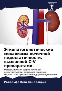 Cover Jetiopatogeneticheskie mehanizmy pochechnoj nedostatochnosti, wyzwannoj S-V preparatami