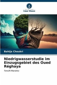 Niedrigwasserstudie im Einzugsgebiet des Oued Réghaya - Choukri, Bahija