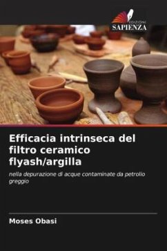 Cover Efficacia intrinseca del filtro ceramico flyash/argilla