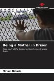 Being a Mother in Prison