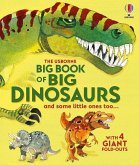 Big Book of Big Dinosaurs