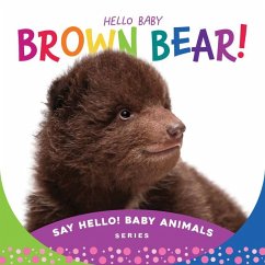 Hello Baby Brown Bear! - Rose, Beverly