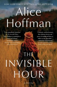 The Invisible Hour - Hoffman, Alice