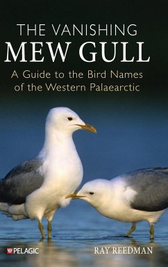 The Vanishing Mew Gull - Reedman, Ray